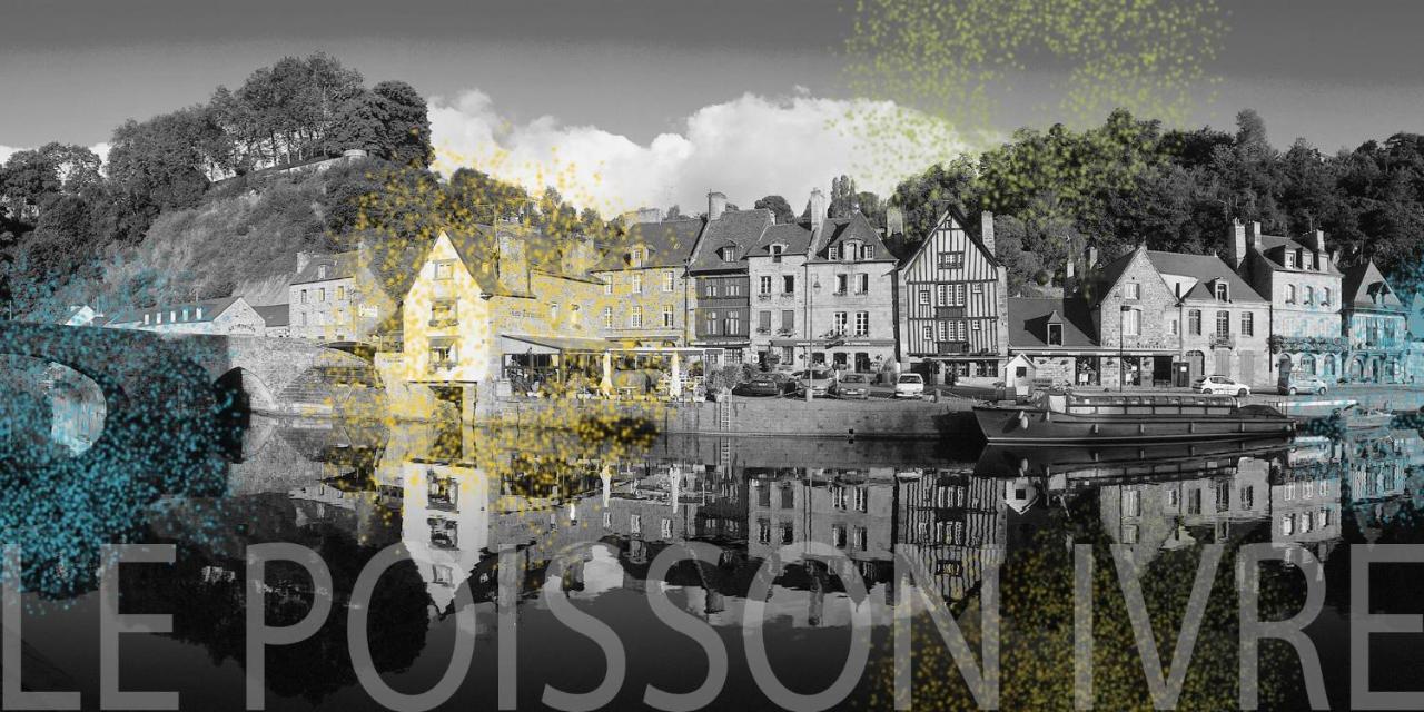 Le Poisson Ivre Bed & Breakfast Dinan Ngoại thất bức ảnh